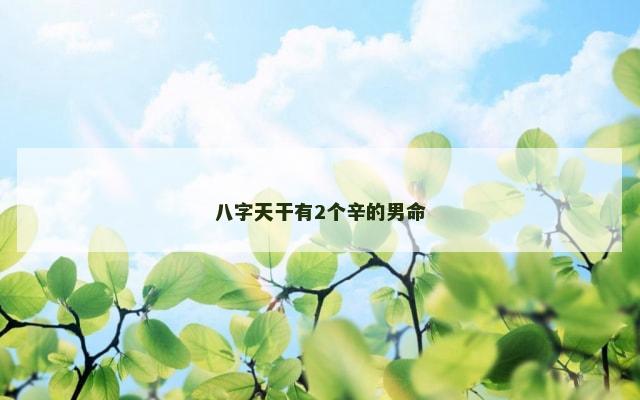 八字天干有2个辛的男命