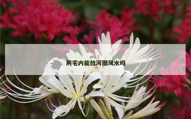 阴宅内能放河图风水吗