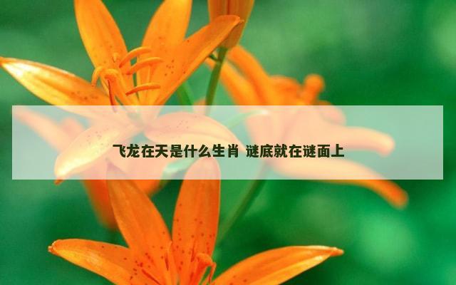 飞龙在天是什么生肖 谜底就在谜面上
