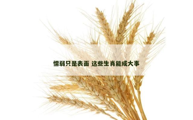 懦弱只是表面 这些生肖能成大事