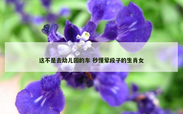 这不是去幼儿园的车 秒懂荤段子的生肖女