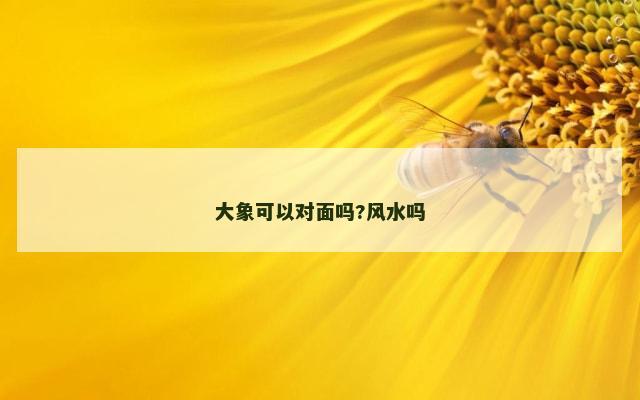 大象可以对面吗?风水吗