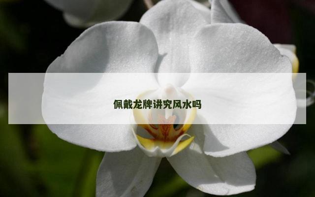 佩戴龙牌讲究风水吗