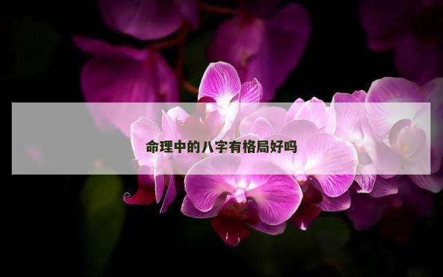 命理中的八字有格局好吗