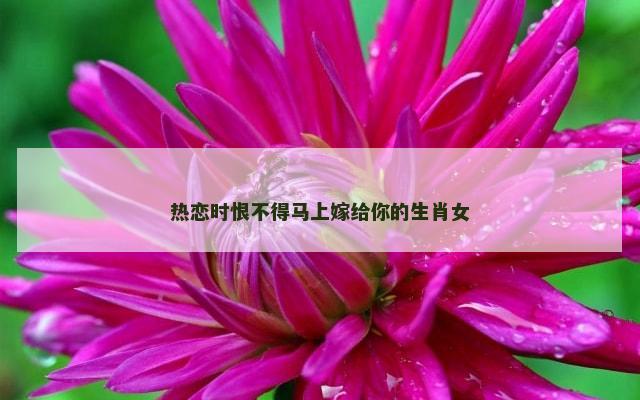 热恋时恨不得马上嫁给你的生肖女