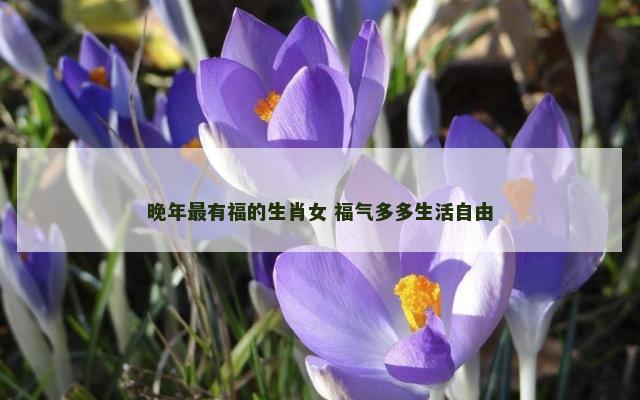 晚年最有福的生肖女 福气多多生活自由