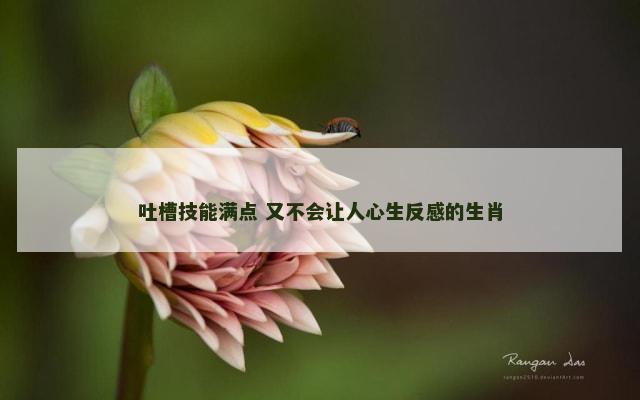 吐槽技能满点 又不会让人心生反感的生肖