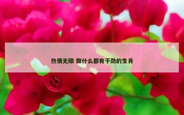 热情无限 做什么都有干劲的生肖