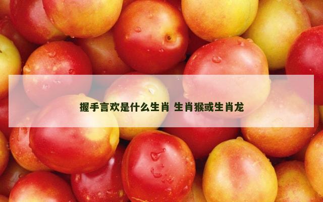 握手言欢是什么生肖 生肖猴或生肖龙