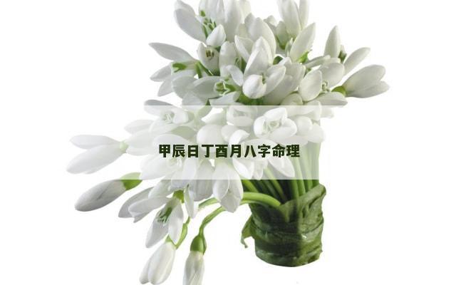 甲辰日丁酉月八字命理