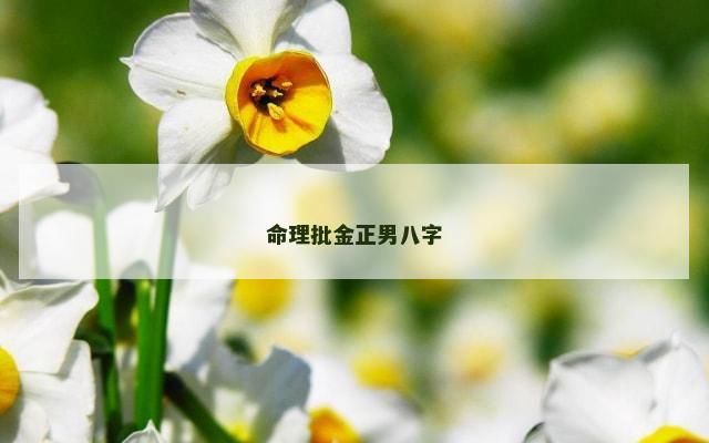 命理批金正男八字