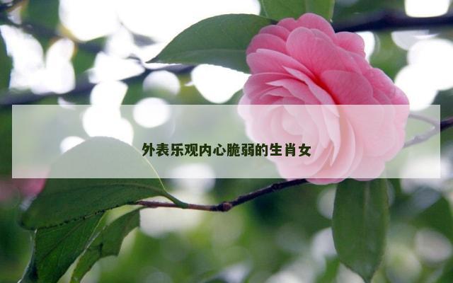 外表乐观内心脆弱的生肖女