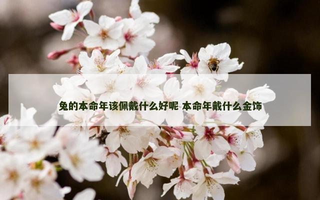 兔的本命年该佩戴什么好呢 本命年戴什么金饰