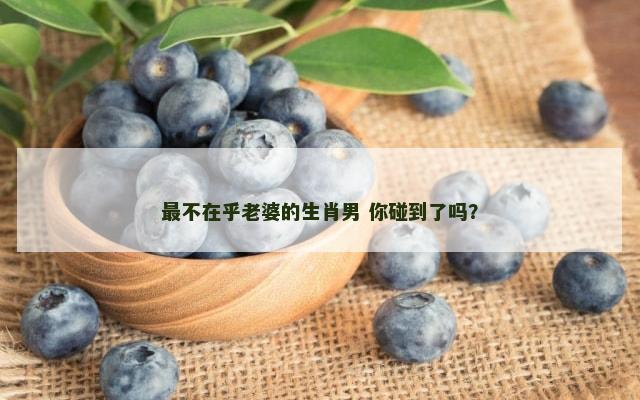 最不在乎老婆的生肖男 你碰到了吗？