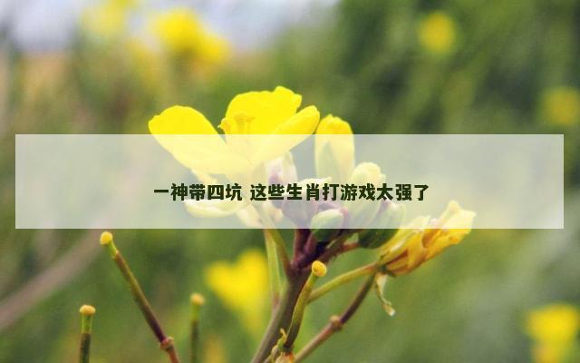 一神带四坑 这些生肖打游戏太强了
