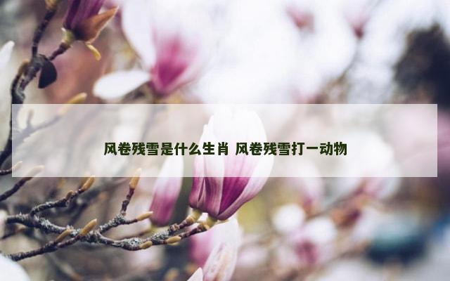 风卷残雪是什么生肖 风卷残雪打一动物