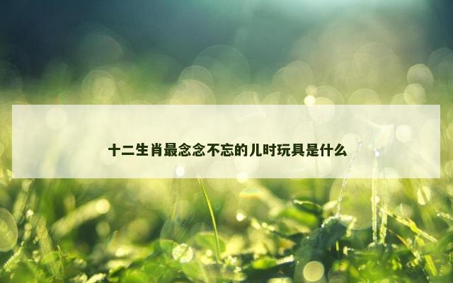 十二生肖最念念不忘的儿时玩具是什么