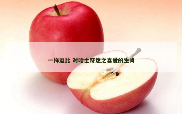 一样逗比 对哈士奇迷之喜爱的生肖