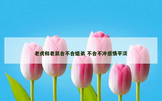老虎和老鼠合不合姐弟 不合不冲感情平淡