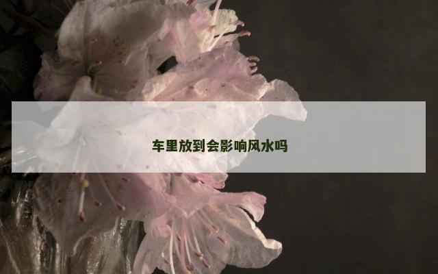 车里放到会影响风水吗