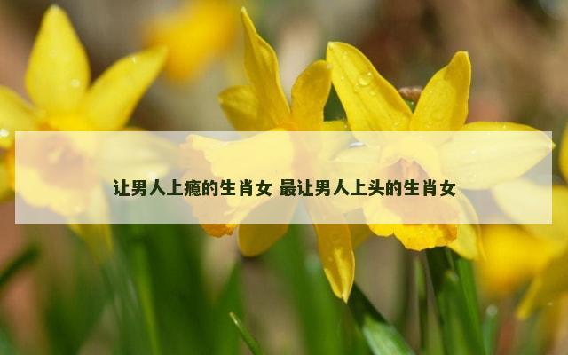 让男人上瘾的生肖女 最让男人上头的生肖女
