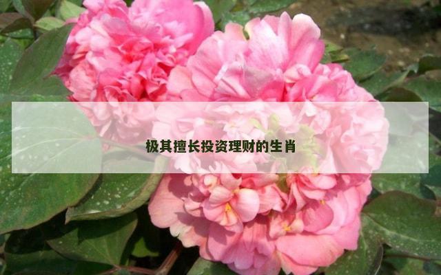 极其擅长投资理财的生肖