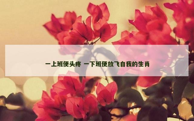 一上班便头疼 一下班便放飞自我的生肖