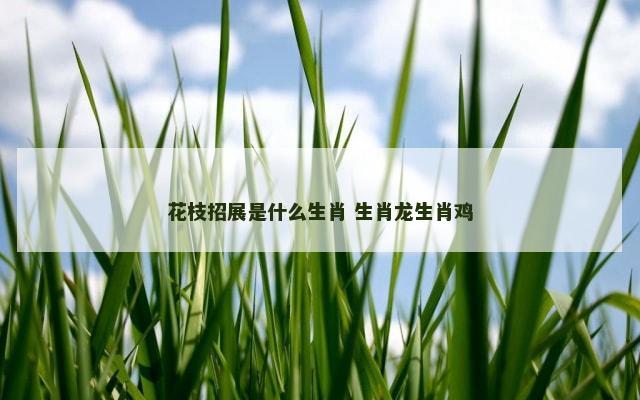 花枝招展是什么生肖 生肖龙生肖鸡