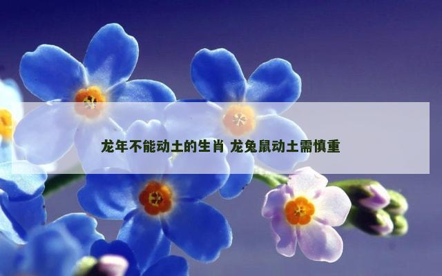 龙年不能动土的生肖 龙兔鼠动土需慎重