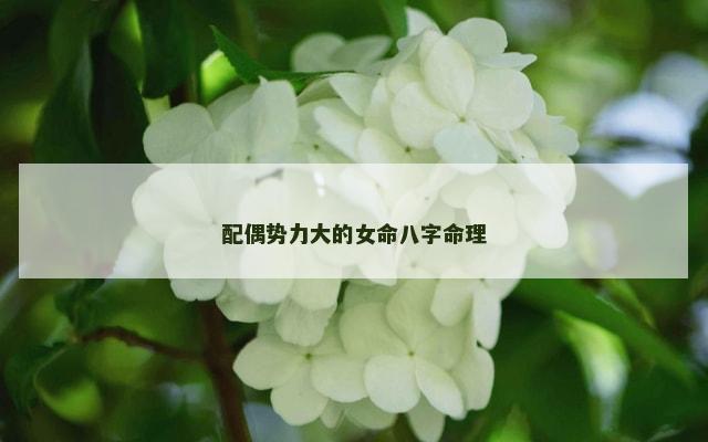 配偶势力大的女命八字命理