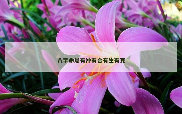 八字命局有冲有合有生有克