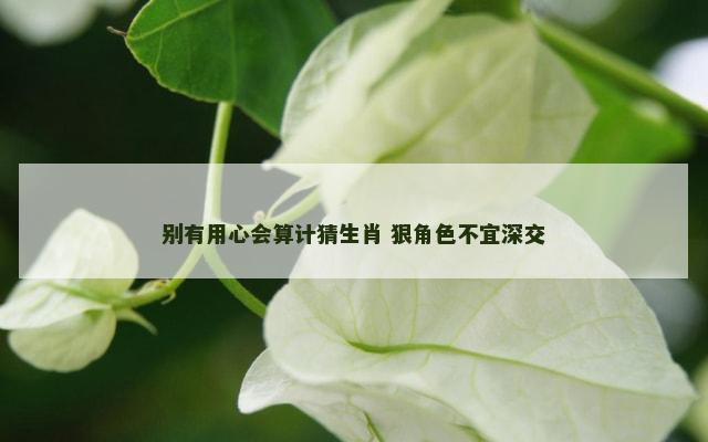 别有用心会算计猜生肖 狠角色不宜深交