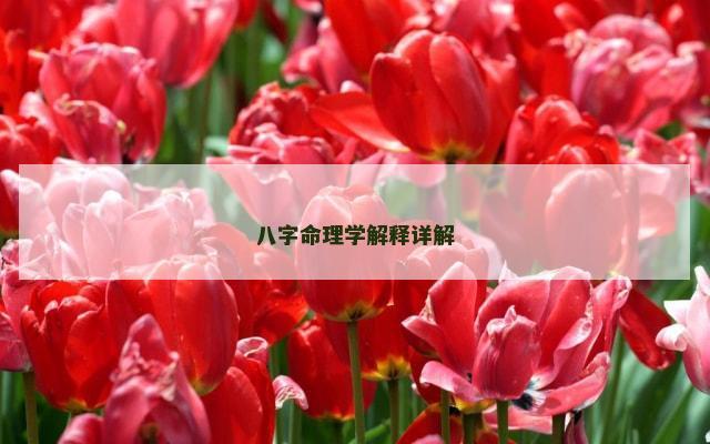 八字命理学解释详解