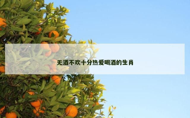 无酒不欢十分热爱喝酒的生肖