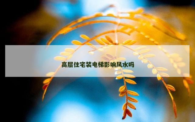 高层住宅装电梯影响风水吗