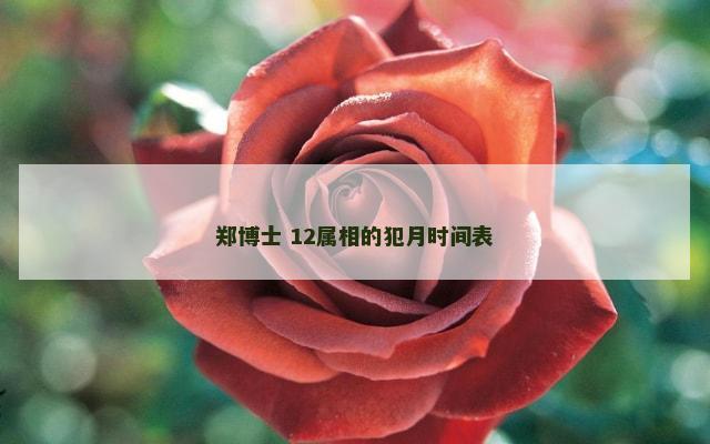 郑博士 12属相的犯月时间表