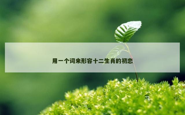 用一个词来形容十二生肖的初恋