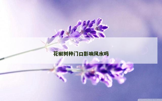 花椒树种门口影响风水吗