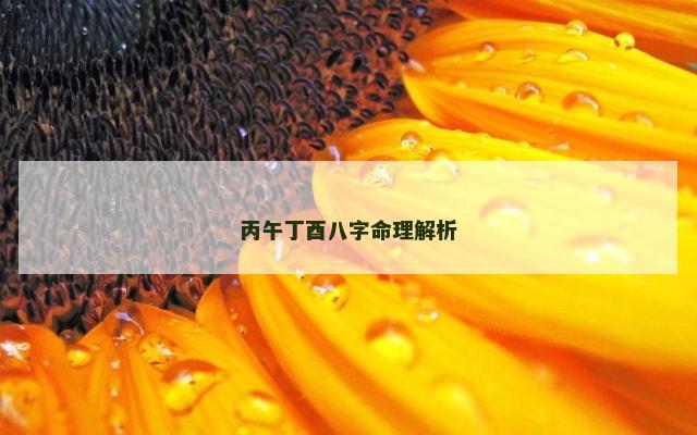 丙午丁酉八字命理解析
