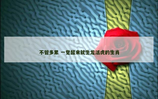 不管多累 一觉醒来就生龙活虎的生肖