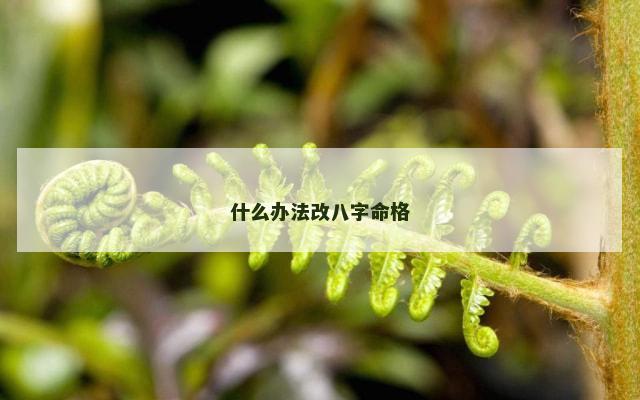 什么办法改八字命格