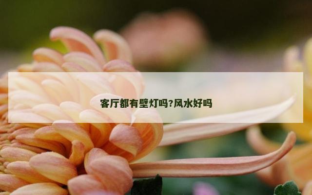 客厅都有壁灯吗?风水好吗