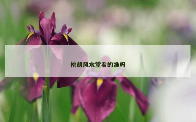 桃胡风水堂看的准吗