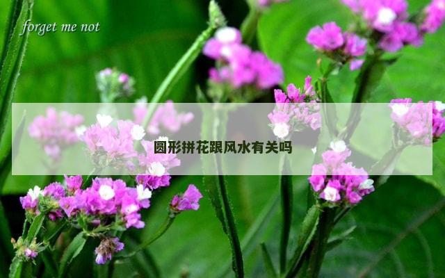 圆形拼花跟风水有关吗