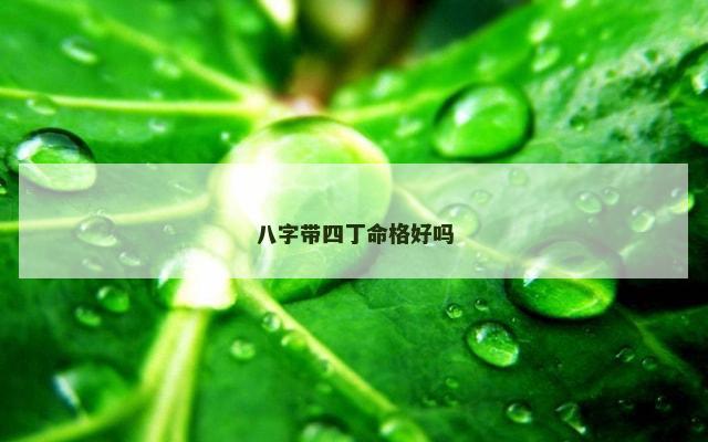 八字带四丁命格好吗