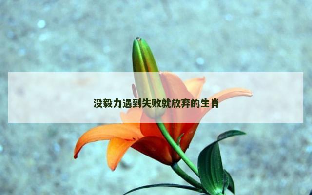 没毅力遇到失败就放弃的生肖