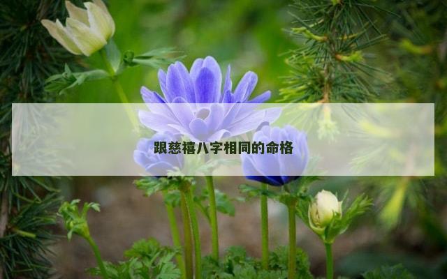 跟慈禧八字相同的命格