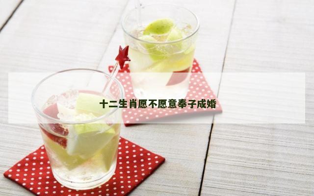 十二生肖愿不愿意奉子成婚