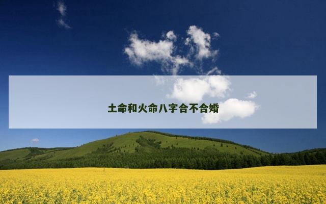 土命和火命八字合不合婚