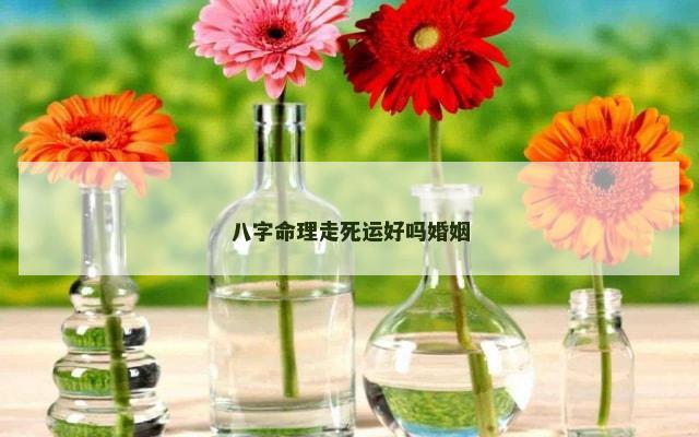 八字命理走死运好吗婚姻
